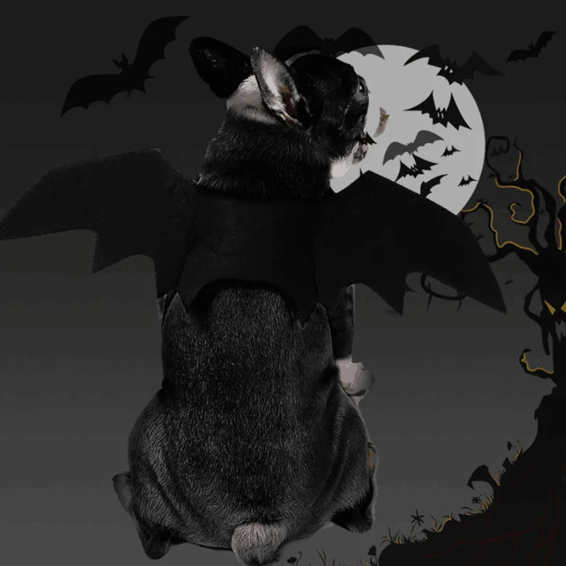 Halloween Costume for Dogs Pet Bat Wings Cat Dog Bat Costume Wings Dress up Pet Accessories Party Pet Costume Puppy Wing